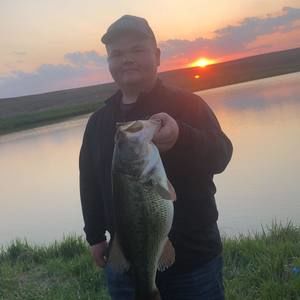 Meet your Posher, Conner